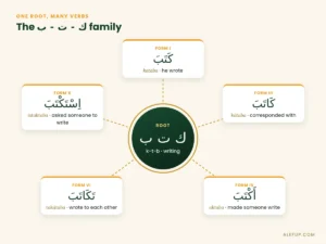 The Arabic root k-t-b and its verb family across Forms I, III, IV, VI and X