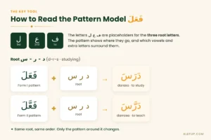 How to read the Arabic pattern model fa’ala with the root d-r-s